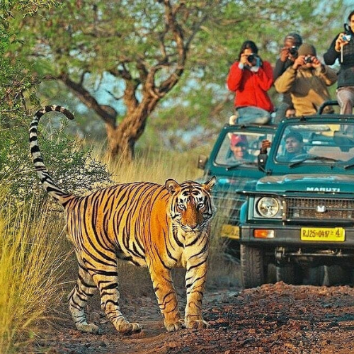 delhi-to-ranthambore-taxi-fare